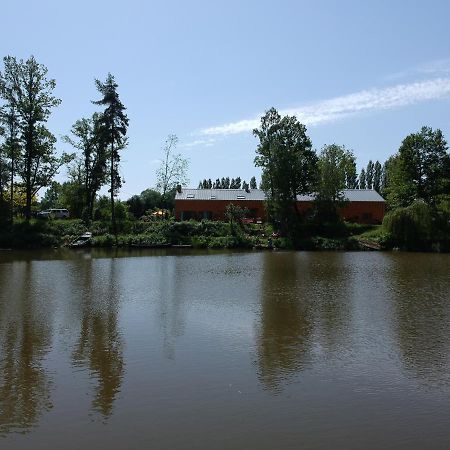 Florennes Gite Neuf 150 M2 Devant Un Grand Lac Prive De 2 Hectares Poissonneux Au Milieu Des Bois المظهر الخارجي الصورة