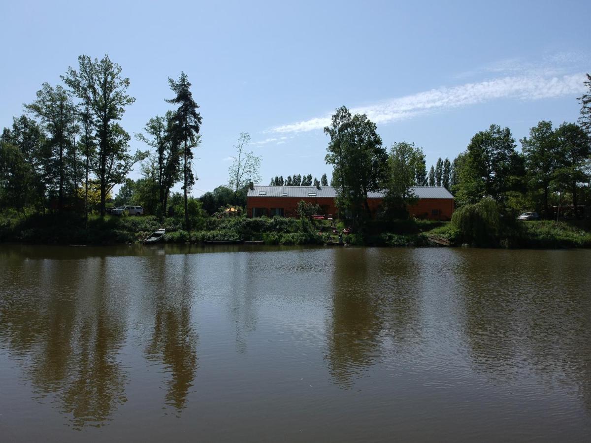 Florennes Gite Neuf 150 M2 Devant Un Grand Lac Prive De 2 Hectares Poissonneux Au Milieu Des Bois المظهر الخارجي الصورة