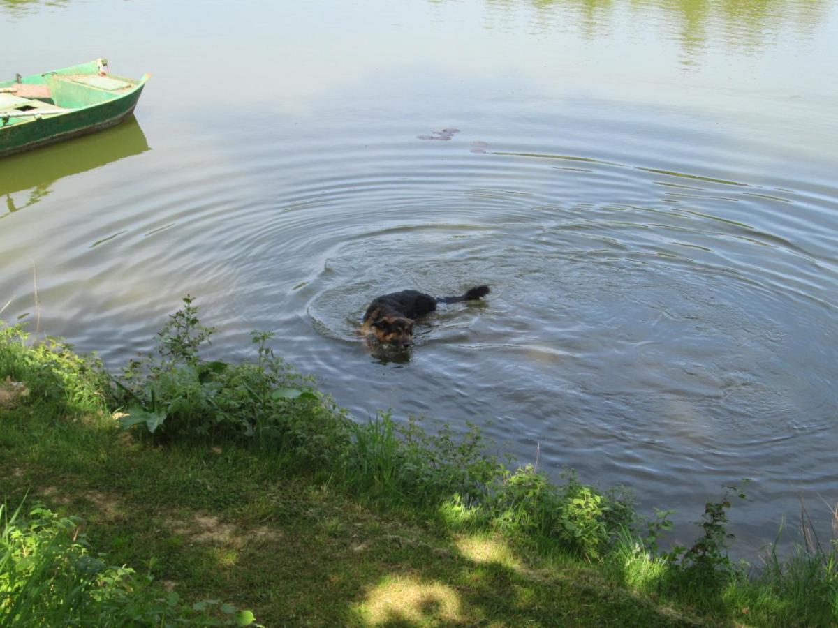 Florennes Gite Neuf 150 M2 Devant Un Grand Lac Prive De 2 Hectares Poissonneux Au Milieu Des Bois المظهر الخارجي الصورة