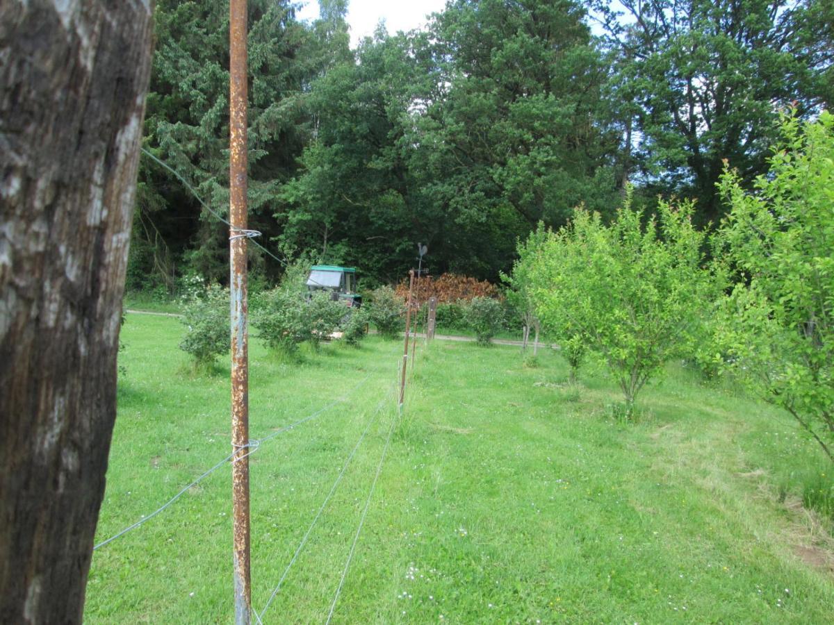 Florennes Gite Neuf 150 M2 Devant Un Grand Lac Prive De 2 Hectares Poissonneux Au Milieu Des Bois المظهر الخارجي الصورة