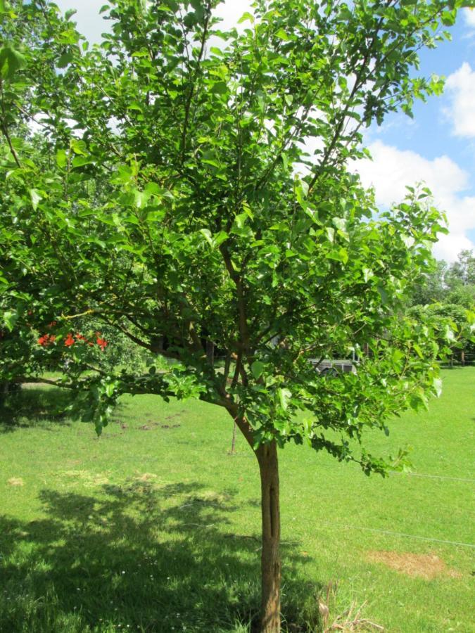 Florennes Gite Neuf 150 M2 Devant Un Grand Lac Prive De 2 Hectares Poissonneux Au Milieu Des Bois المظهر الخارجي الصورة
