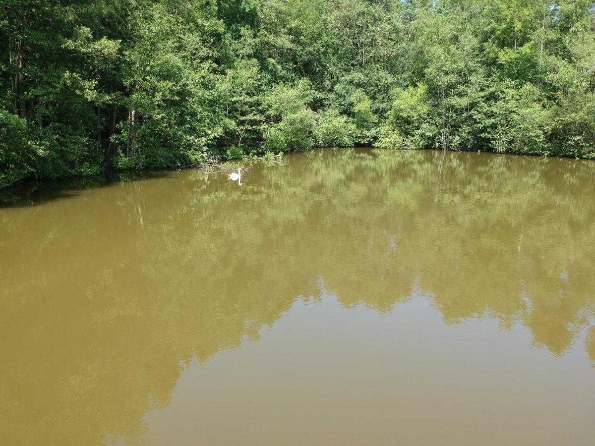 Florennes Gite Neuf 150 M2 Devant Un Grand Lac Prive De 2 Hectares Poissonneux Au Milieu Des Bois المظهر الخارجي الصورة