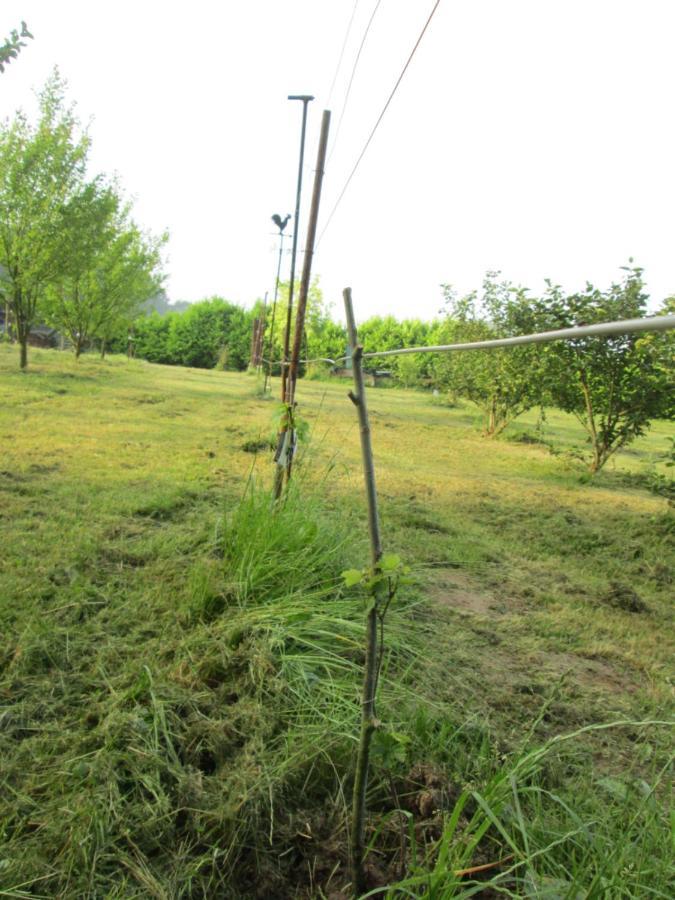 Florennes Gite Neuf 150 M2 Devant Un Grand Lac Prive De 2 Hectares Poissonneux Au Milieu Des Bois المظهر الخارجي الصورة