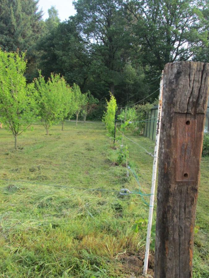 Florennes Gite Neuf 150 M2 Devant Un Grand Lac Prive De 2 Hectares Poissonneux Au Milieu Des Bois المظهر الخارجي الصورة