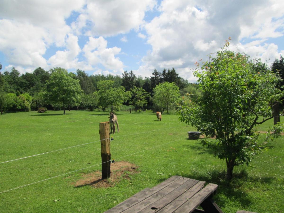 Florennes Gite Neuf 150 M2 Devant Un Grand Lac Prive De 2 Hectares Poissonneux Au Milieu Des Bois المظهر الخارجي الصورة