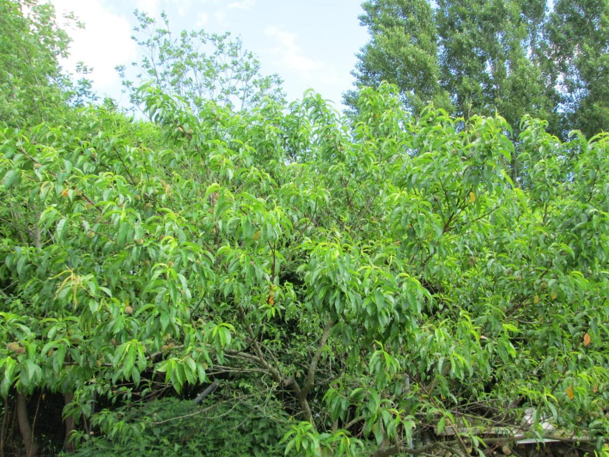 Florennes Gite Neuf 150 M2 Devant Un Grand Lac Prive De 2 Hectares Poissonneux Au Milieu Des Bois المظهر الخارجي الصورة