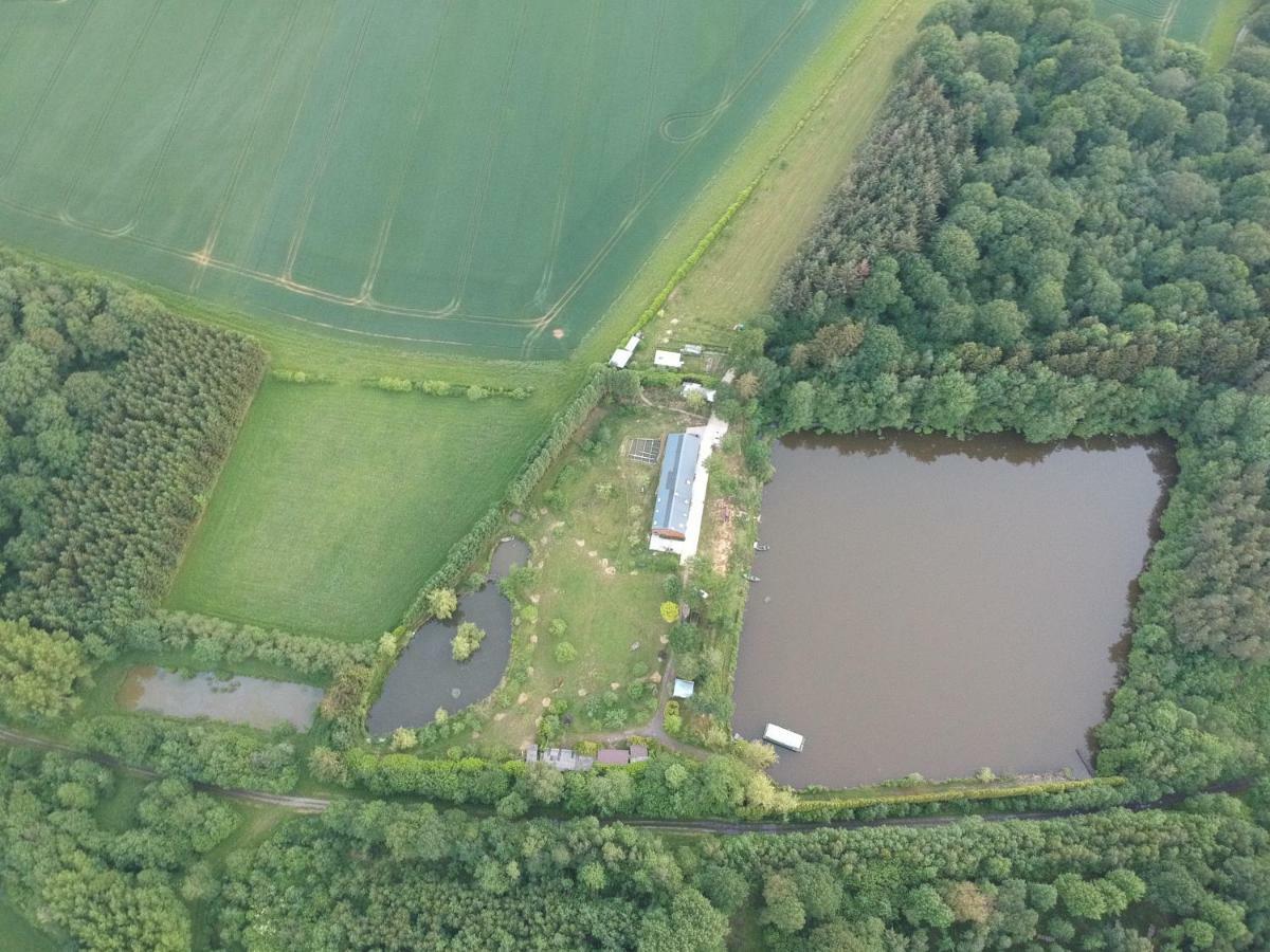 Florennes Gite Neuf 150 M2 Devant Un Grand Lac Prive De 2 Hectares Poissonneux Au Milieu Des Bois المظهر الخارجي الصورة