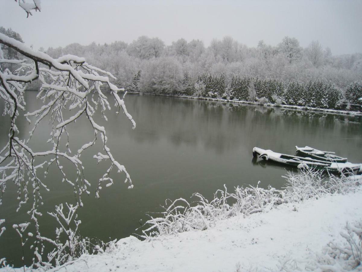 Florennes Gite Neuf 150 M2 Devant Un Grand Lac Prive De 2 Hectares Poissonneux Au Milieu Des Bois المظهر الخارجي الصورة