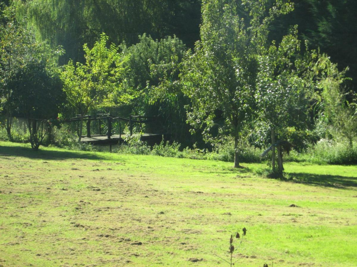 Florennes Gite Neuf 150 M2 Devant Un Grand Lac Prive De 2 Hectares Poissonneux Au Milieu Des Bois المظهر الخارجي الصورة