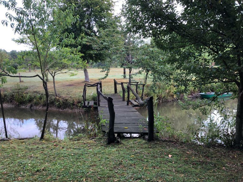 Florennes Gite Neuf 150 M2 Devant Un Grand Lac Prive De 2 Hectares Poissonneux Au Milieu Des Bois المظهر الخارجي الصورة